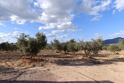 Masia a Sax, Alicante, Sax - € 63.000 | Ref: Panadero - foto 7